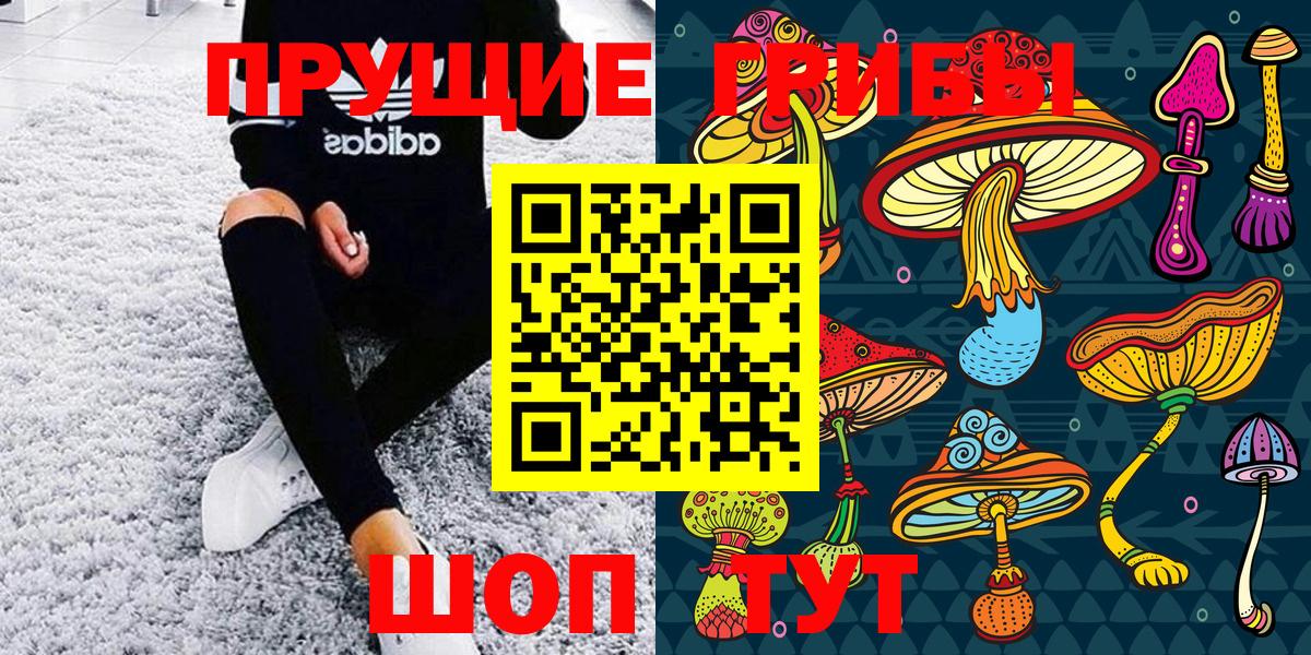 Обь  Галлюциногенные грибы Psilocybe  Вход с VPN 